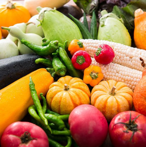 【使用镰仓蔬菜】使用对身体有益的有机tapas（西班牙小盘菜）、bagna cauda等时令蔬菜