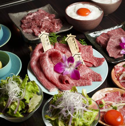 Miyabi Course May/June