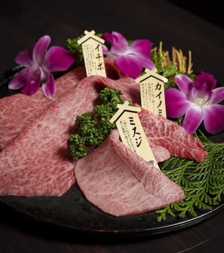 A course where you can experience the essence of Kamui