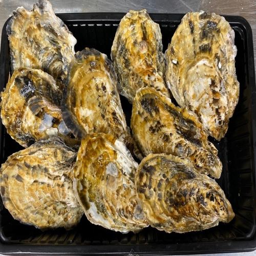 Steamed oysters (large)