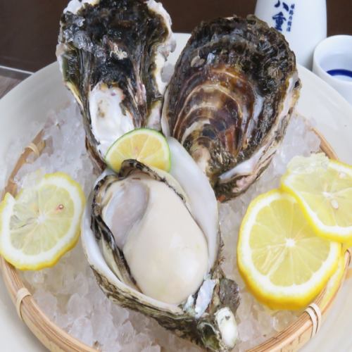 Raw Iwagaki Oysters (summer only)
