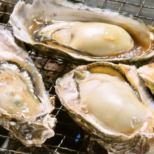 [Scheduled to start from November] [Luxury Milk] All-you-can-eat raw/steamed/grilled oysters for 90 minutes