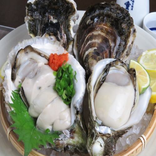 新鮮な牡蠣を堪能！海のミルクがお得にお楽しみ頂けます！