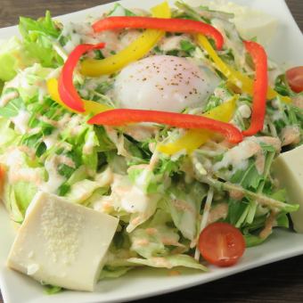 Various vegetable salad (regular) / tofu Caesar salad