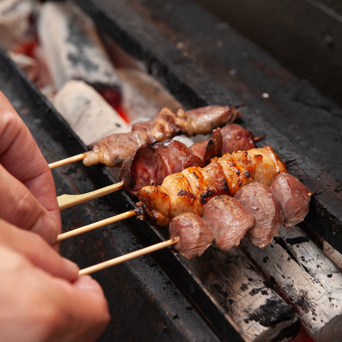 本格焼き鳥が味わえる