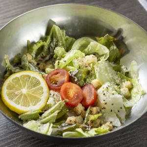 シーザーサラダ/チョレギサラダ