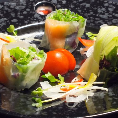 ~ Salmon raw spring roll salad ~