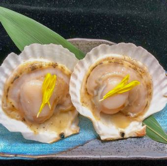 scallop with shell