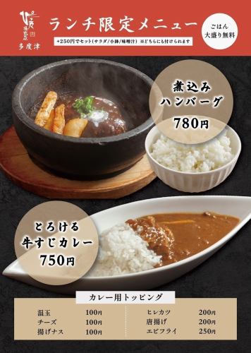 煮込みハンバーグ/牛すじカレー