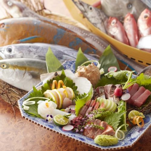 天然活魚のお造り