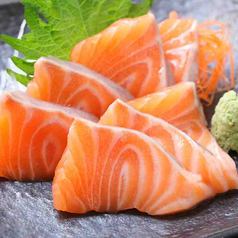 salmon sashimi