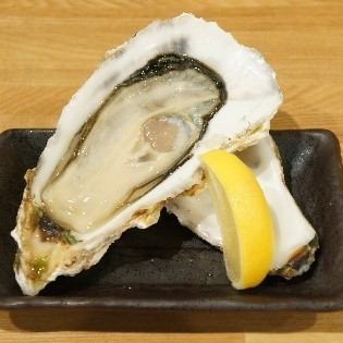 Raw oyster with shell (1 piece)