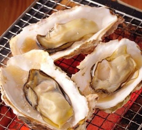 [Steamed oysters from Ogatsu]