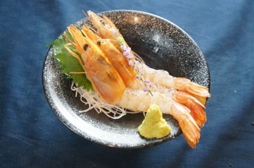 Red shrimp sashimi