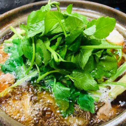 【飛梅的宴會季】