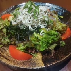 閖上しらす 듬뿍 샐러드