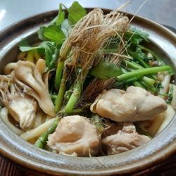 [Seasonal] Chicken and parsley udon