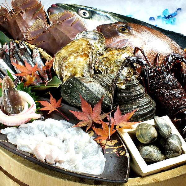 可以用五種感官享受新鮮廣島魚的日式居酒屋。無限暢飲套餐4,500日元起！