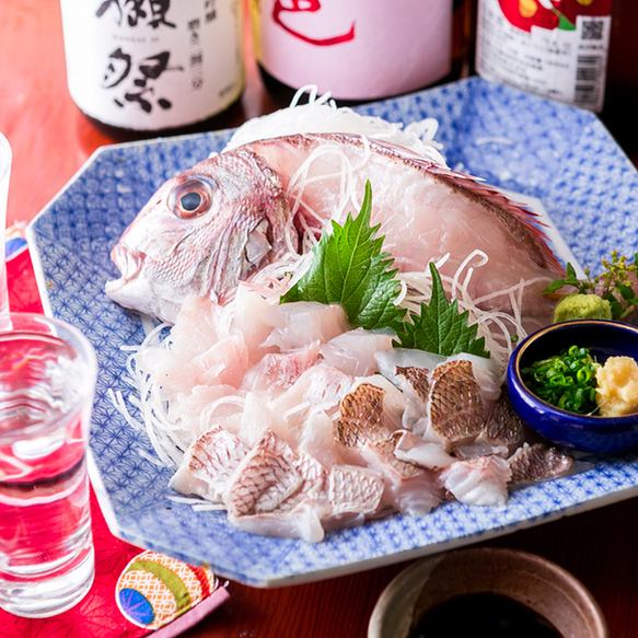 自慢の海鮮料理を提供中★刺身から煮魚など多数用意◎焼鳥もあり