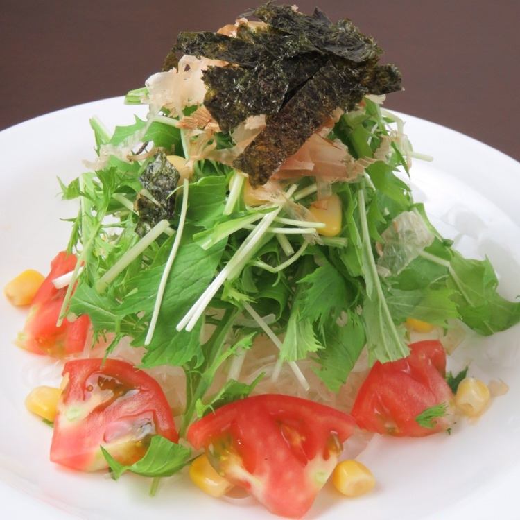 Crunchy salad of mizuna and radish