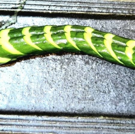 きゅうり一本漬け