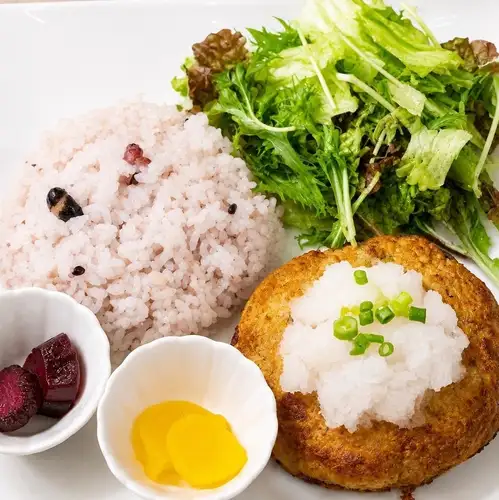 豆腐ハンバーグプレート