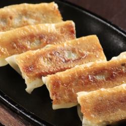 Teppanyaki gyoza