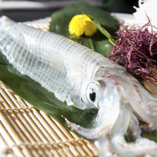 [All seats are private rooms] We offer freshly caught seafood that morning! Enjoy it with sake or shochu.