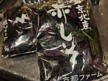 【自家製 赤紫蘇シロ