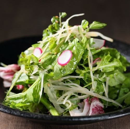 Watercress and arugula salad