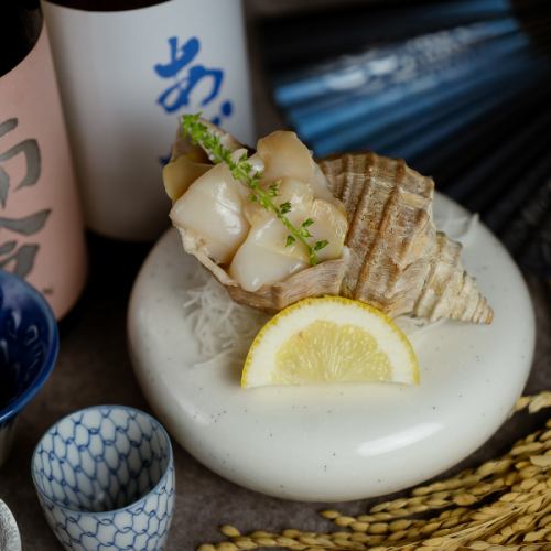 「磯の香りと甘みを味わう、極上の貝刺し。」