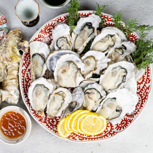 平日限定・生牡蠣1ピース199円からご用意。90分生牡蠣食べ飲み放題が1999円(期間限定)新宿エリア最安。