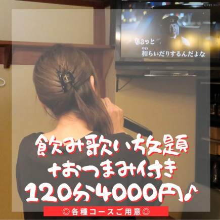 【歌って飲んで食べられる♪】120分歌い放題＋飲み放題＋おつまみ付きコース4000円(税込)