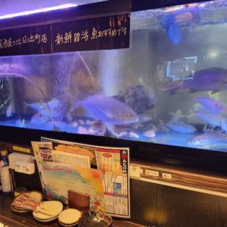 広々としたカウンター席。目の前には大きな水槽で新鮮な魚が元気に泳いでいます♪