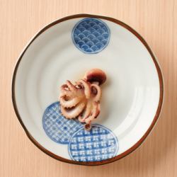 いいだこ