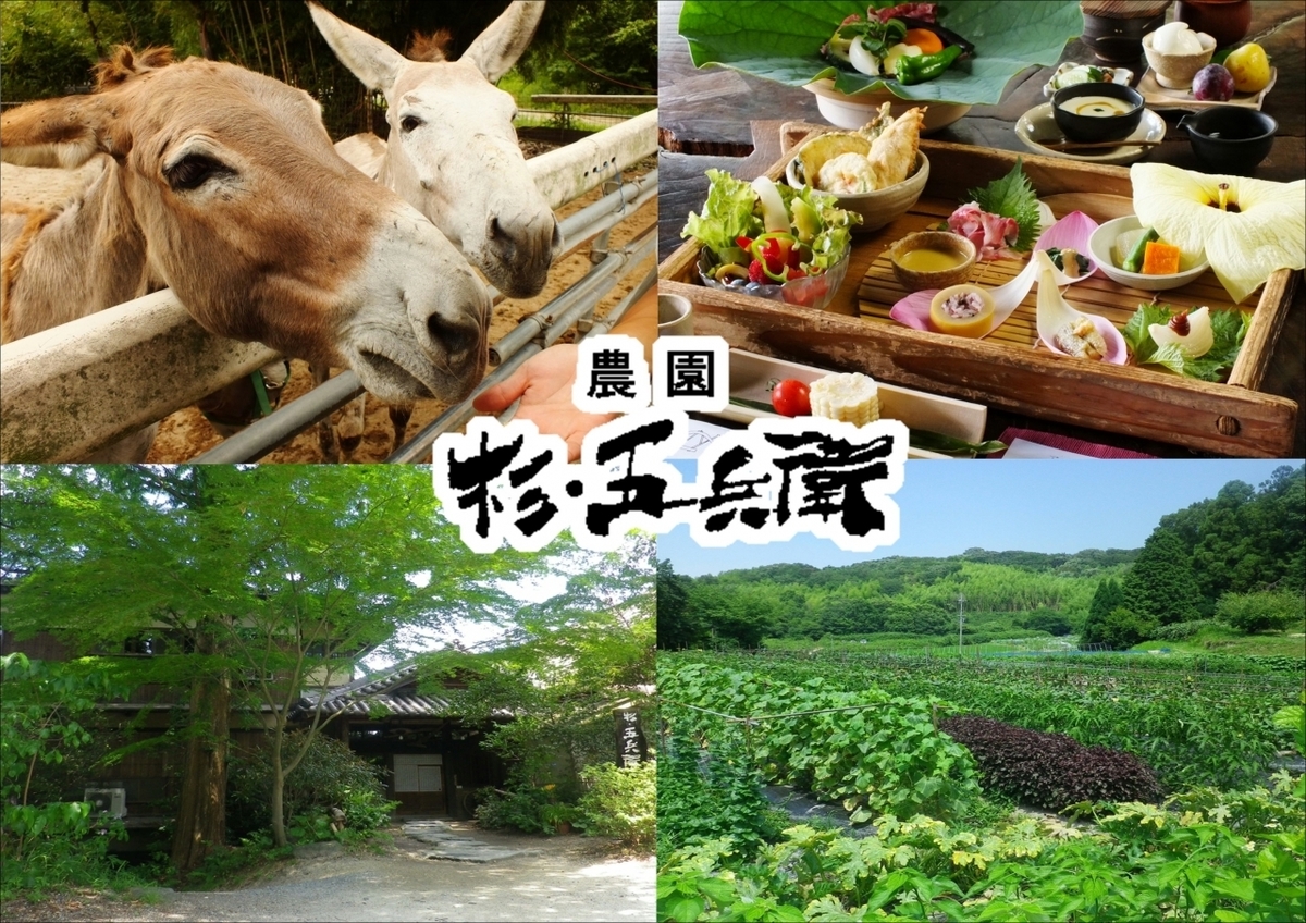 杉 五 兵衛