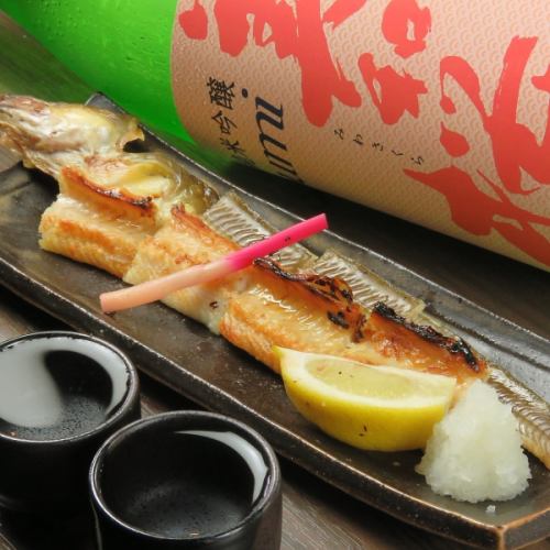 廣島特產！乾燥康吉鰻