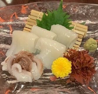 Iwate spear squid sashimi