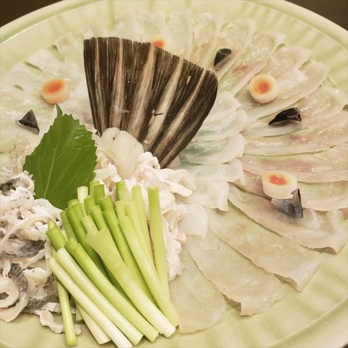 野生虎河豚刺身