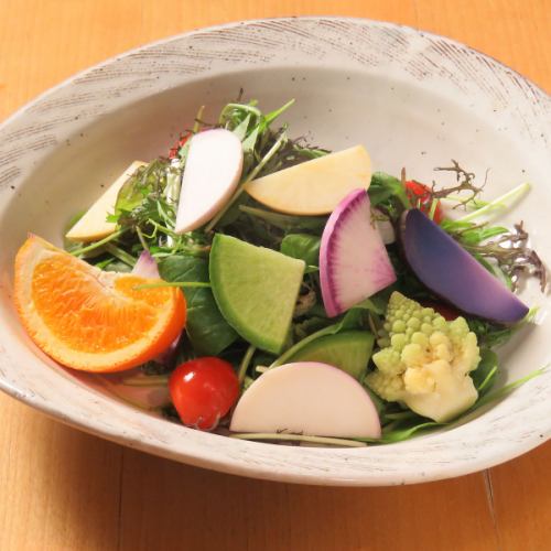 旬野菜の彩サラダ
