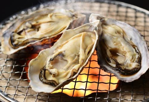 We have an oyster course!