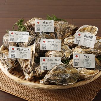 <All over Japan> Today's recommendation! Oysters