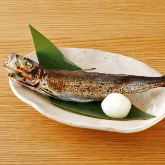 ≪鹿児島県産≫うるめ鰯の丸干し