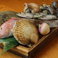その時期一番の産地の旬魚！