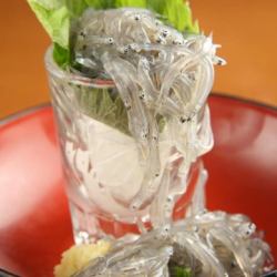 朝どり！湘南生しらすのお刺身