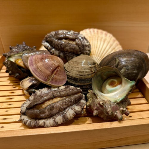 横浜市場直送！旬の魚貝と厳選日本酒を堪能