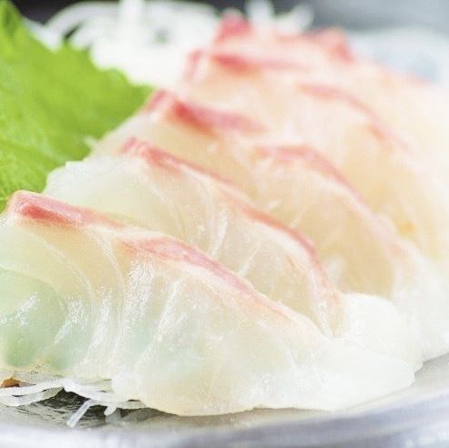 真鯛のお造り