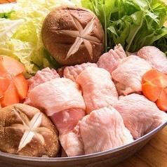 あったか鶏ちゃんこ鍋と浜松餃子の満足コース 《全7品／120分飲み放題〈生ビール付き〉》