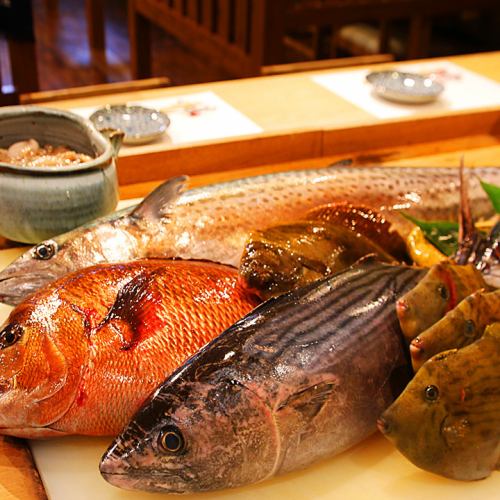 我们提供新鲜活鱼