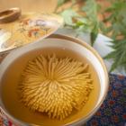 【翡翠コース】前菜盛り合わせ・蒸し魚と豆腐・国産牛すじ麻婆豆腐など≪全7品≫4800円(税込)